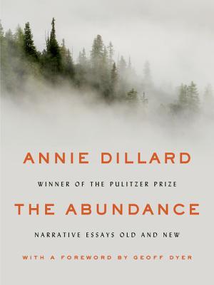 cover image for The Abundance